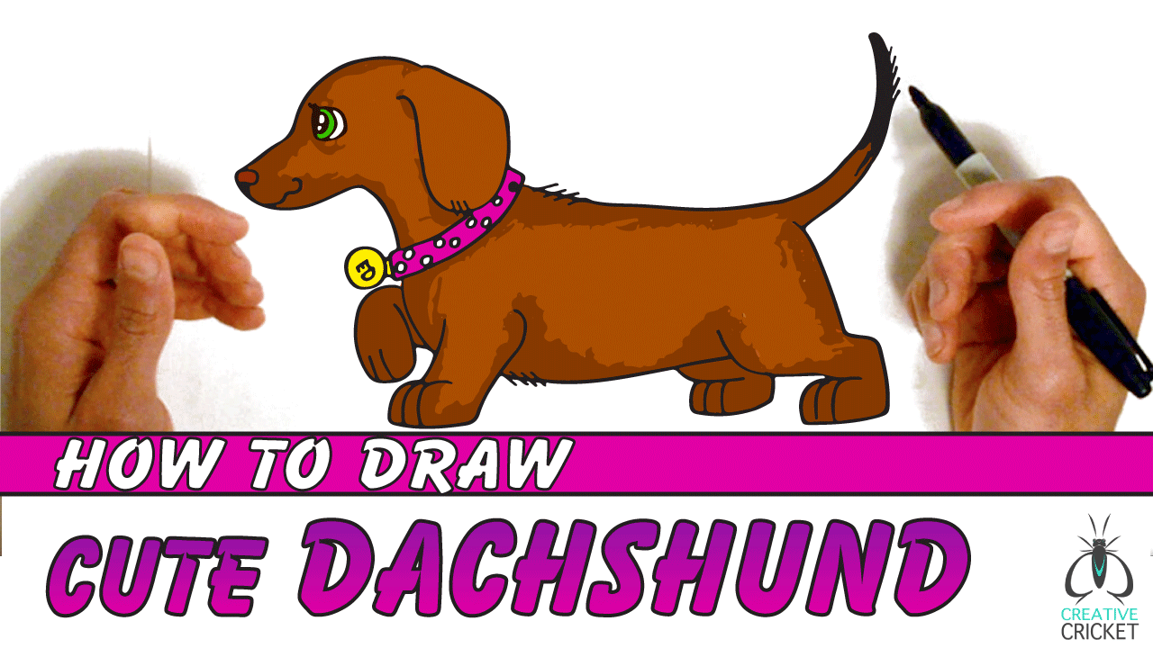 How to Draw a Cartoon Dog Dachshund Puppy Drawing Tutorial